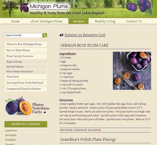 Michigan plum recipes Michigan plum recipes