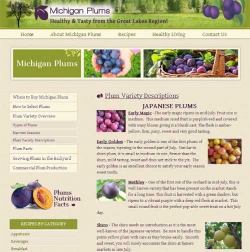 Michigan plum varieties