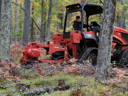Tractor and vibratory plow operating in a forest stand.