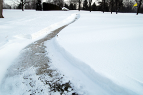 Shoveled path