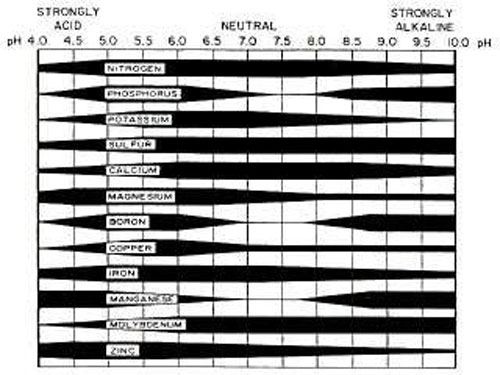 Relative availability of plant nutrients