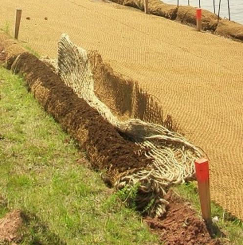 Log after rolling and prior to placement of seeds.