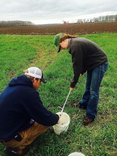 Baseline soil sampling on the Hanson Potato Farm May 2014