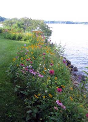 Native vegetation between turf and the water.