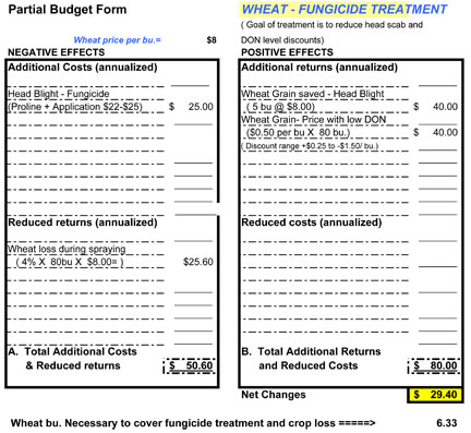 partial budget