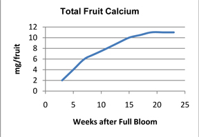 Seasonal total apple fruit calcium.