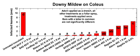 downy mildew 3
