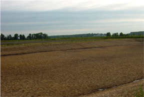 The same manure storage seen seven weeks later.