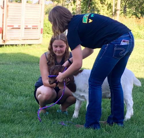 Addy helping a youth with a goat