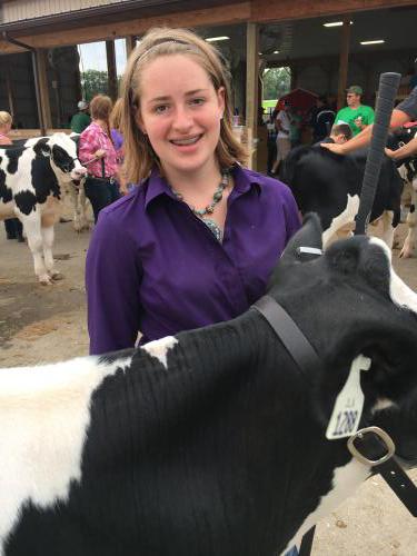 Addy with dairy cow