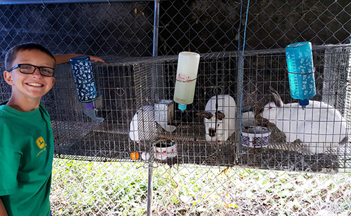 Michigan 4-H'er, Jack, and his rabbits