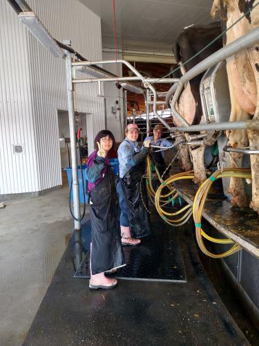 Coffey family milking cows with Lee Su Jin, exchange student from Korea.