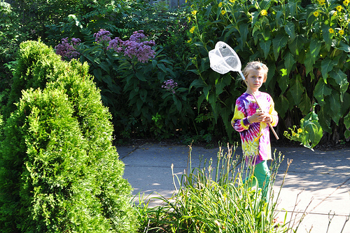 4-H in the Garden