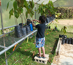 Crespo's kids helping with trees