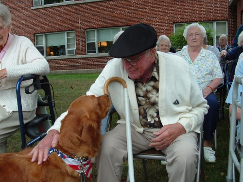 Dog pet therapy