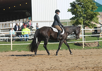 Riding a horse during a show
