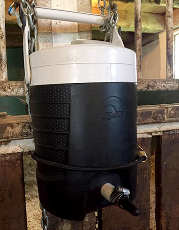 Cooler adapted to help nurse a foal