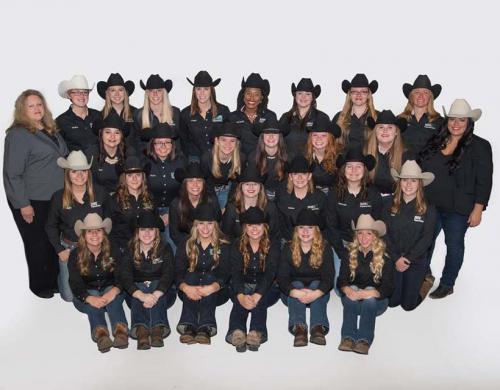 MSU Equestrian Team