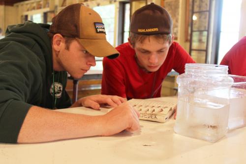 Great Lakes and Natural Resources Campers reading about fish.