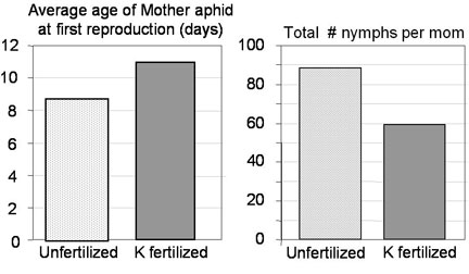 Hypothesis 3