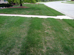 Mowing pattern