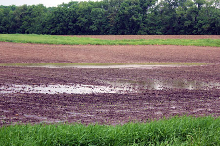 Standing water