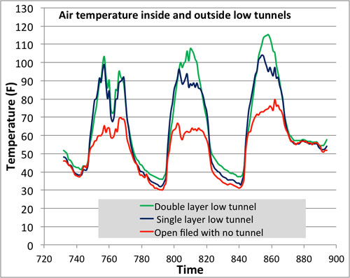 Effect of low tunnels on temperature