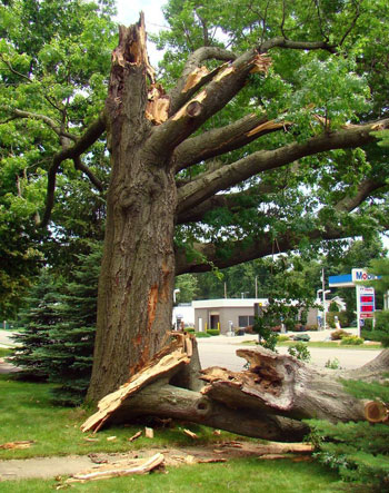 Storm damage