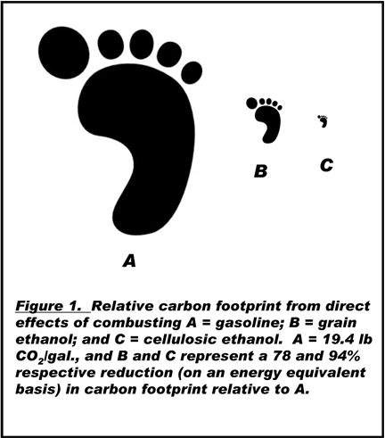 carbon footprint