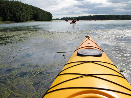 View looking out from the seat of a kayak onto a river 