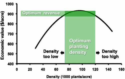 Figure 1 Figure 1