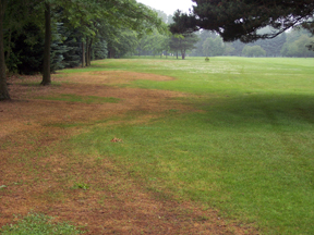Damage to golfcourse Damage to golfcourse