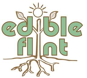 edible flint