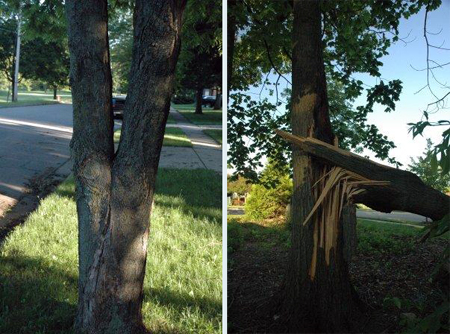 typical storm damage