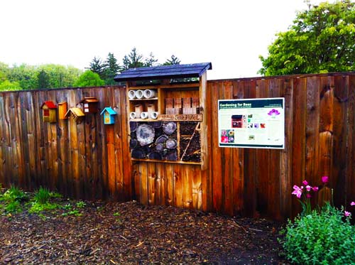 Bee hotel