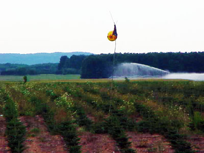 Eye balloon Eye balloon