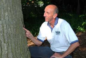 Dr. Dave Smitley with a gypsy moth Dr. Dave Smitley with a gypsy moth