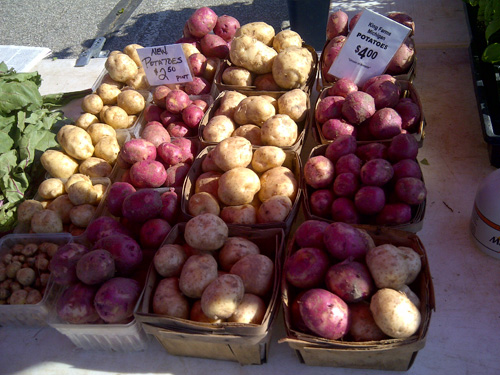 New potatoes at market