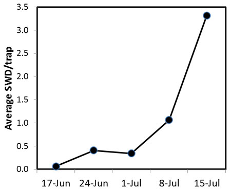 SWD monitoring graph