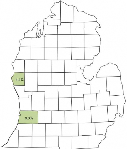 Aster leafhopper map
