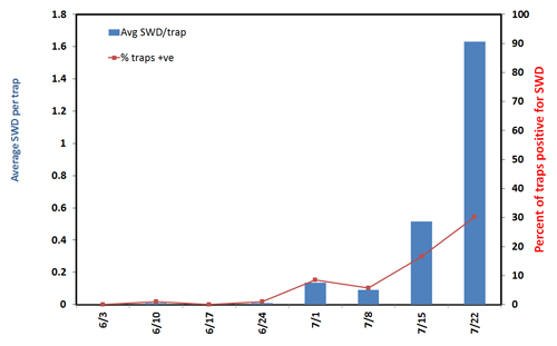 SWD monitoring graph