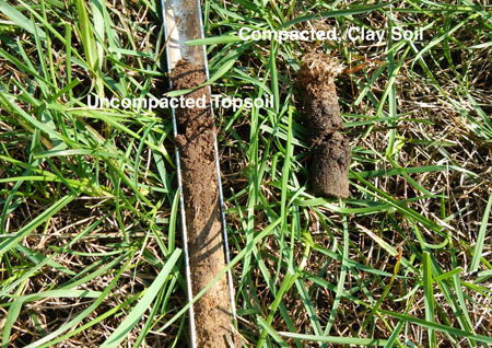 Soil cores