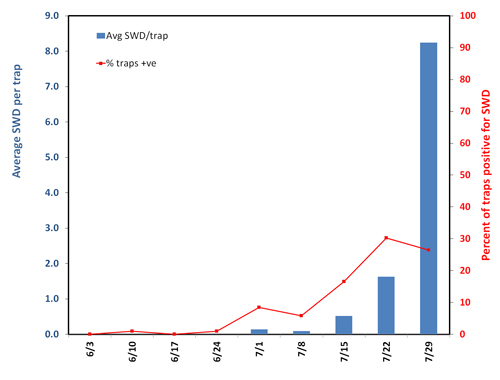 SWD graph