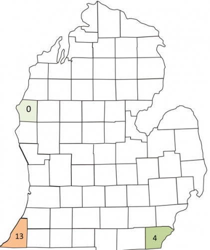 Corn earworm Corn earworm