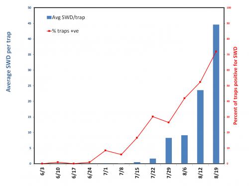 SWD monitoring graph