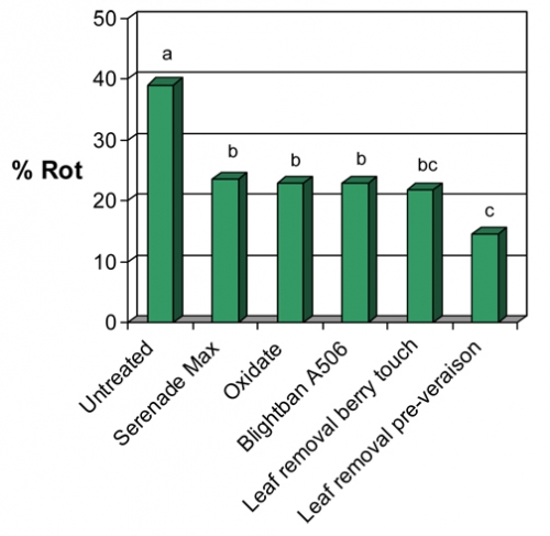 Bunch rot grapes chart