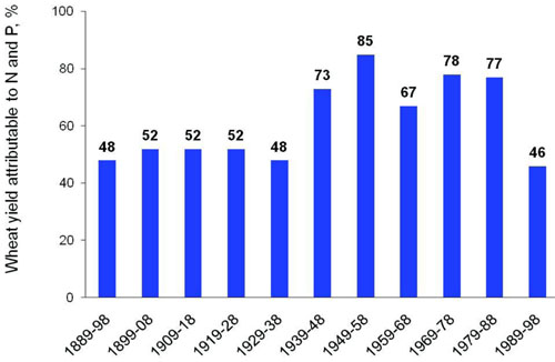 Wheat yield