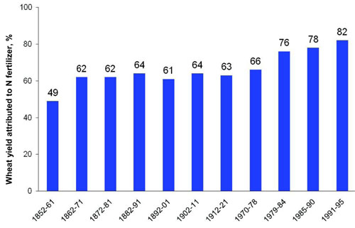 Wheat yield