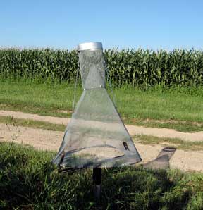 Corn earworm pheromone trap