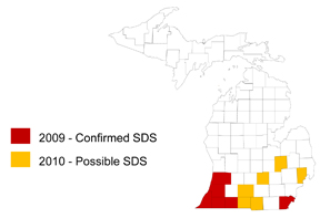 SDS distribution